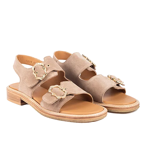 Angulus sandal