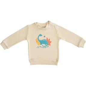 Baby Dino Organic Bamboo Baby Sweatshirt