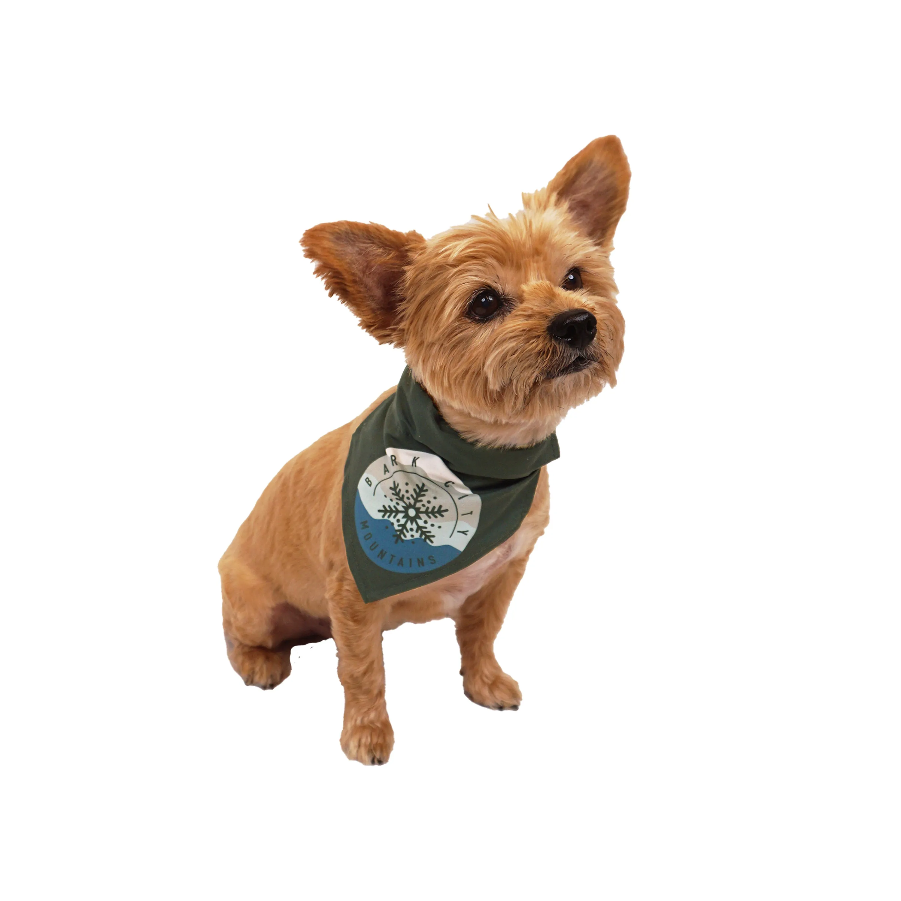 Celebrations Bark City Channel Bandana