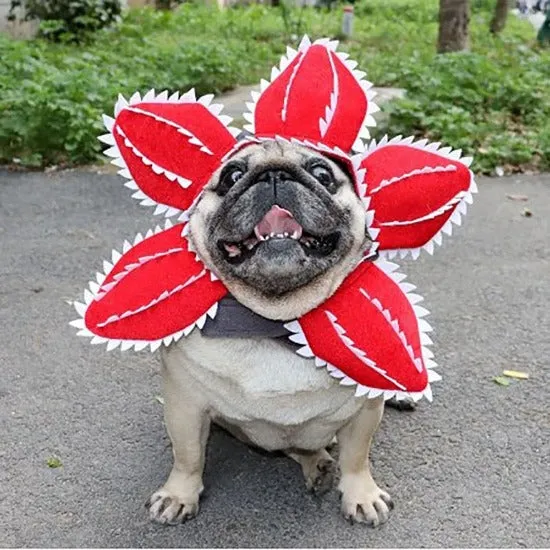 Demogorgon Pet Hat