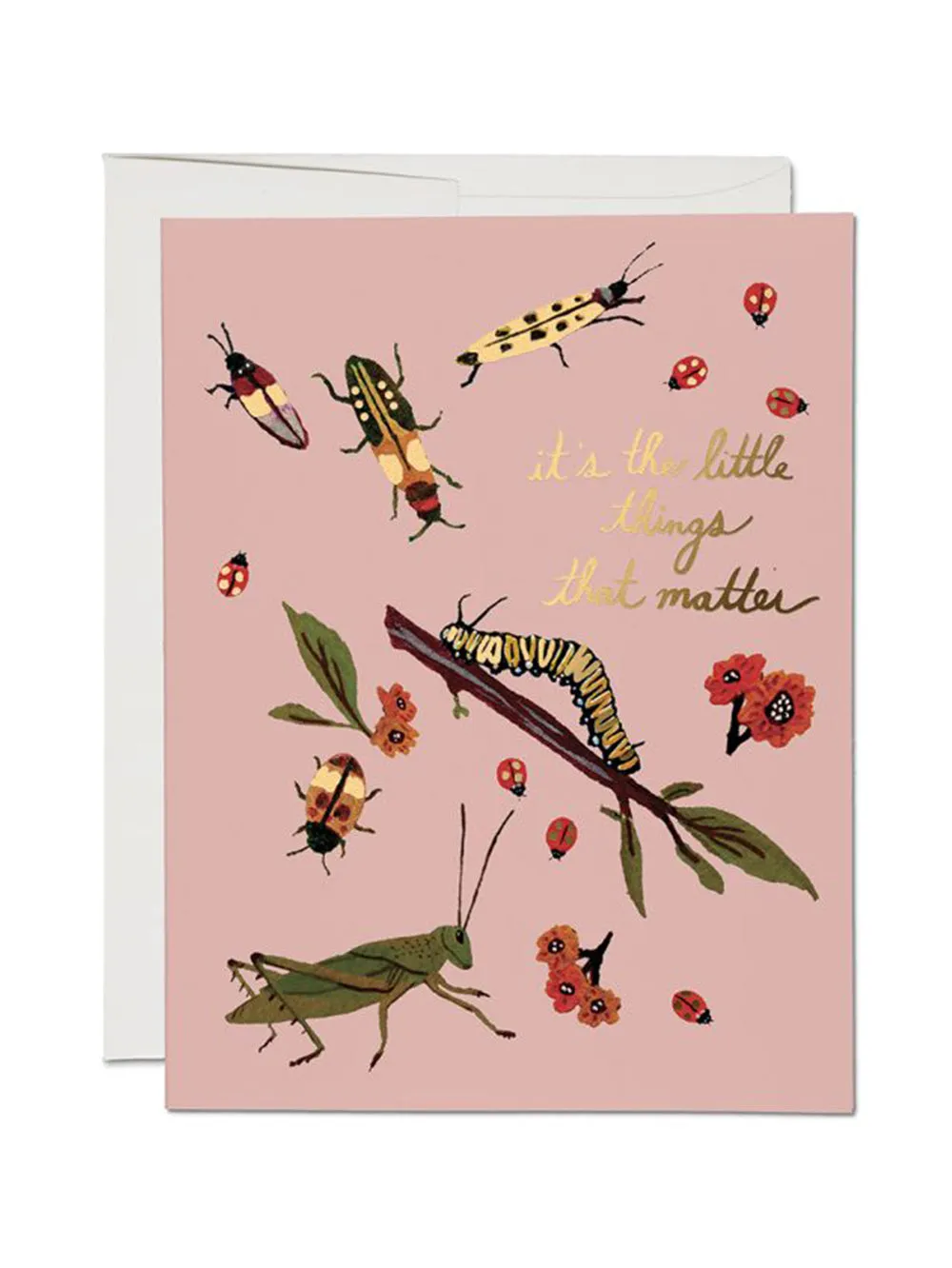 Little Bugs Notecard